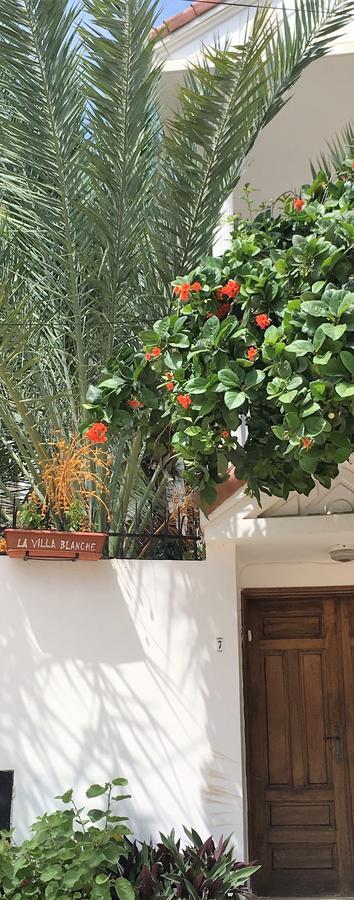 La Villa Blanche Dakar Esterno foto